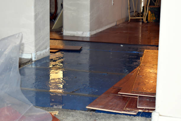 Professional Sewage Cleanup technician working in Woodcliff Lake, NJ